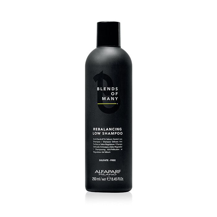 Alfaparf blends of many rebalancing low shampoo - shampoo riequilibrante antiforfora uomo