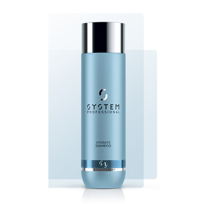 Wella system professional hydrate shampoo