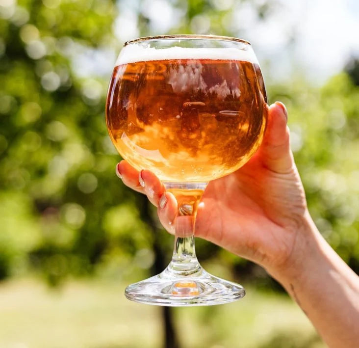 schiarimento-capelli-birra
