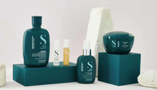 Semi di Lino - Semi di Lino Reconstruction