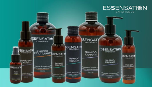 Essensation Experience