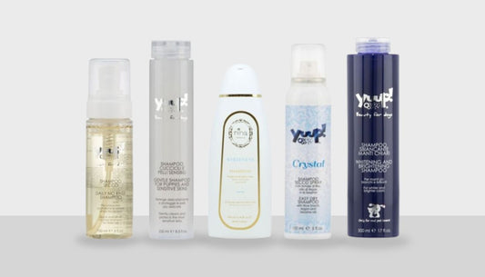 Shampoo per cani e gatti