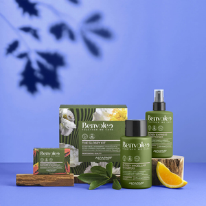 Benvoleo the glossy kit