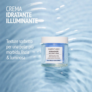 Comfort zone hydramemory rich sorbet cream