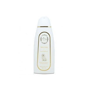 Nina venezia shampoo maltese