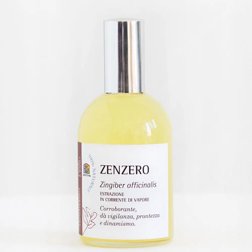 Olfattiva acqua di profumo Zenzero