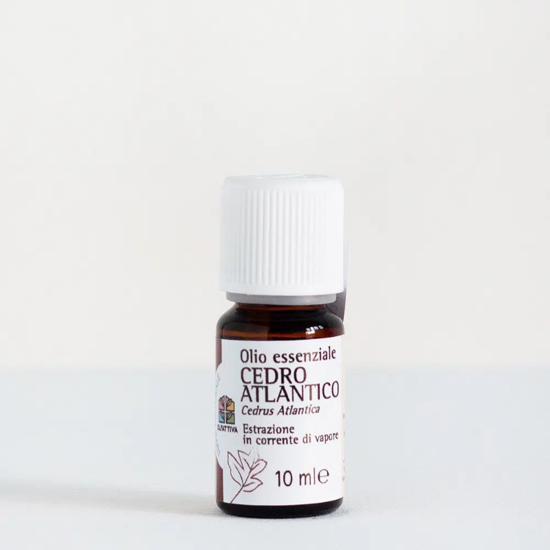 Olfattiva olio essenziale puro Cedro Atlantico