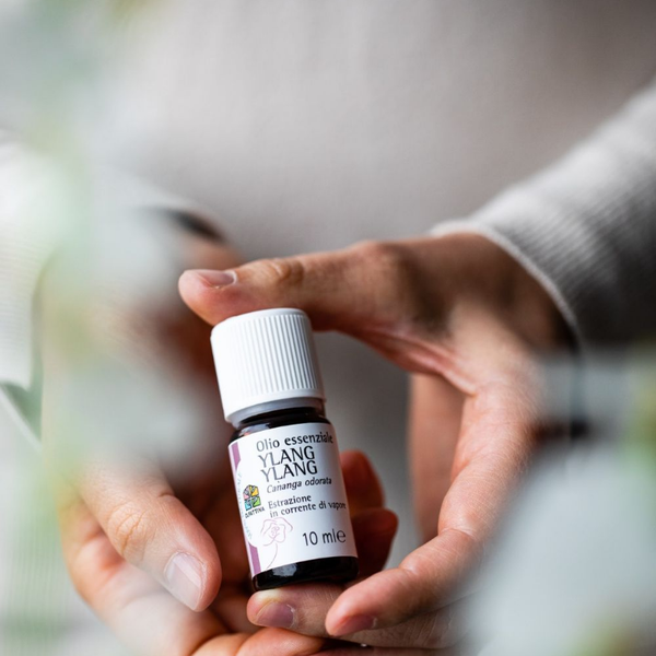 Olfattiva olio essenziale puro Ylang Ylang