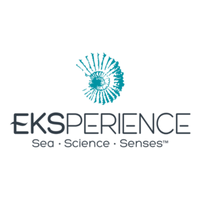 REVLON PROFESSIONAL EKSPERIENCE