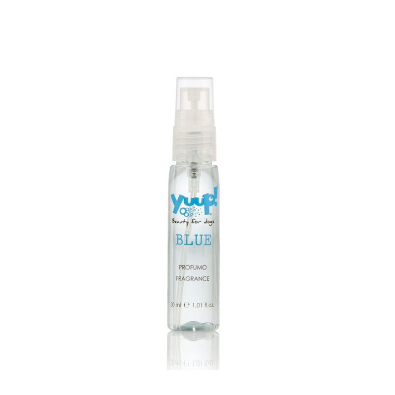 Yuup cani e gatti profumo blu