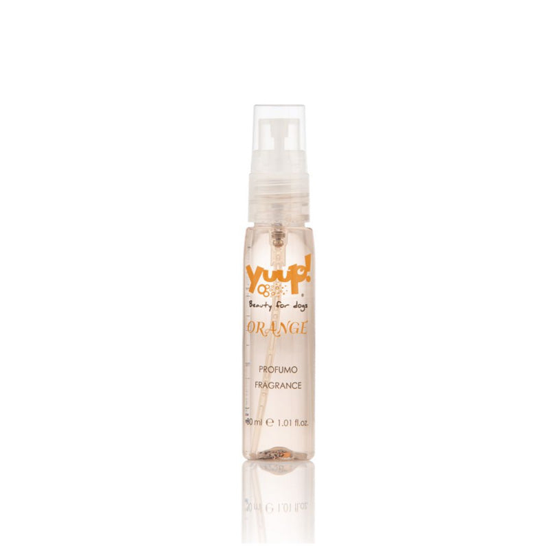 Yuup cani e gatti profumo orange
