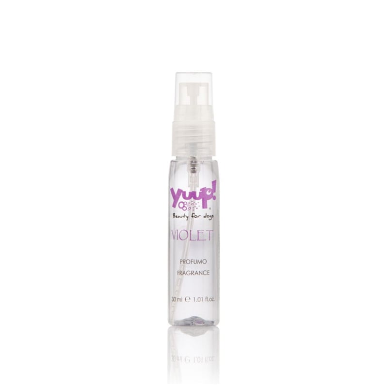 Yuup cani e gatti profumo violet