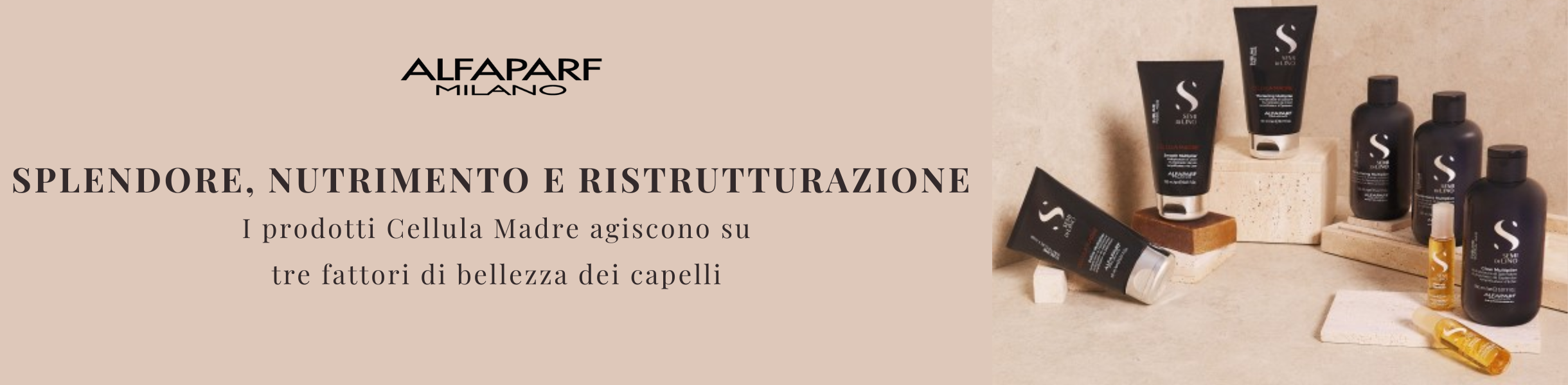 SEMI DI LINO CELLULA MADRE