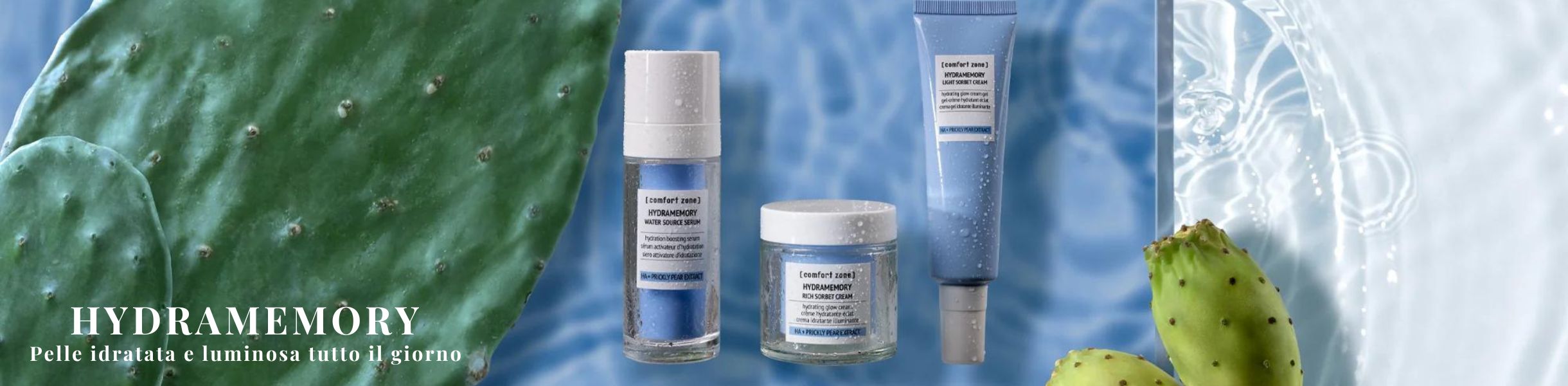 HYDRAMEMORY