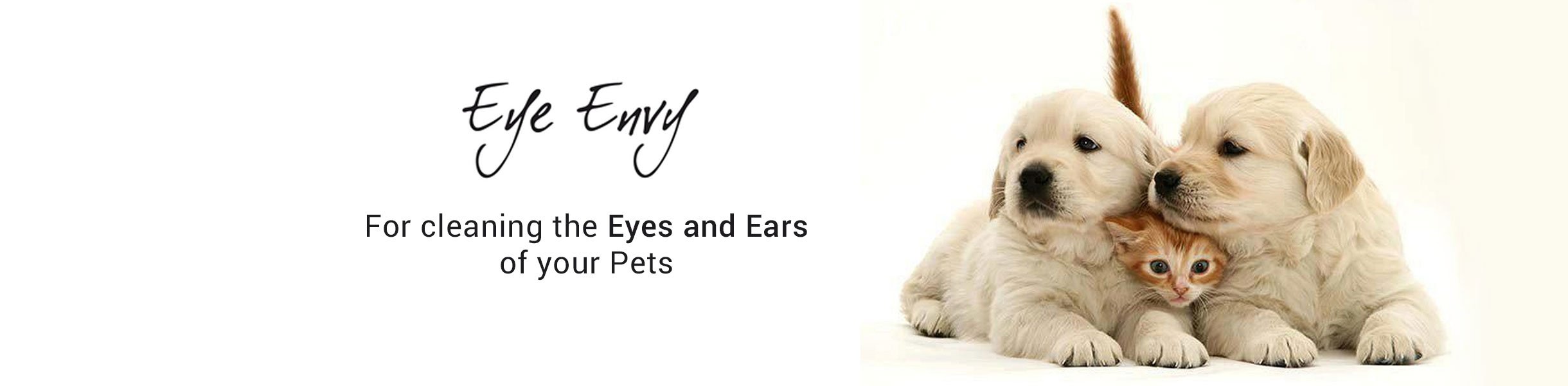 EYE ENVY