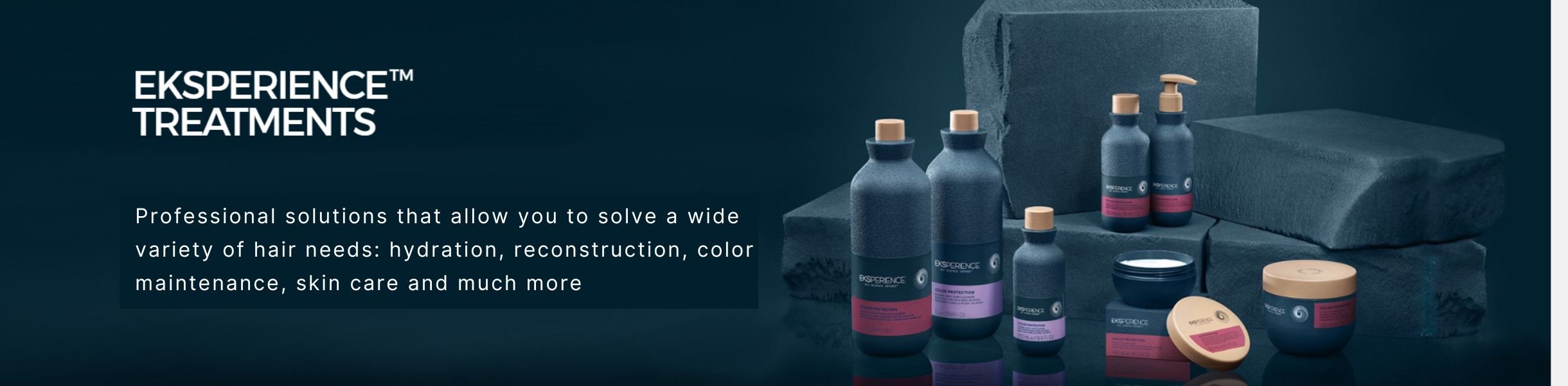 REVLON PROFESSIONAL EKSPERIENCE