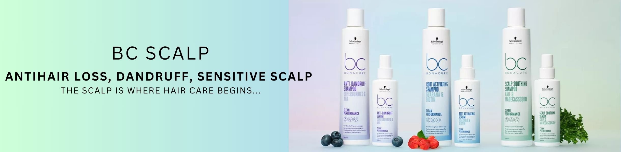 BC SCALP CARE