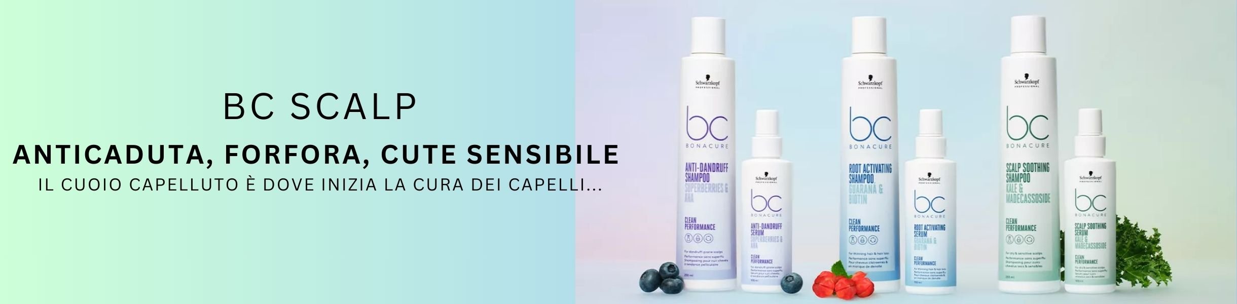 BC SCALP CARE