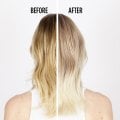 KERASTASE - BLOND ABSOLU RITUEL - BAIN ULTRA VIOLET-CICAFLASH