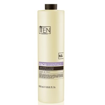 TEN ESSENTIALS CLEANSING MILK 500 ml / 16.90 Fl.Oz
