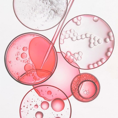ROUTINE ANTICAIDA