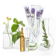 LOTION CONCENTREE HAIRLOSS - WOMAN
