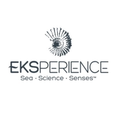 REVLON PROFESSIONAL EKSPERIENCE
